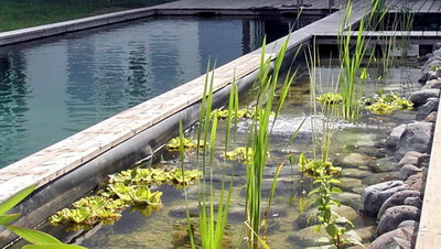 espace régénération piscine biologique