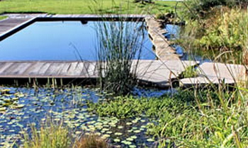 piscine biologique